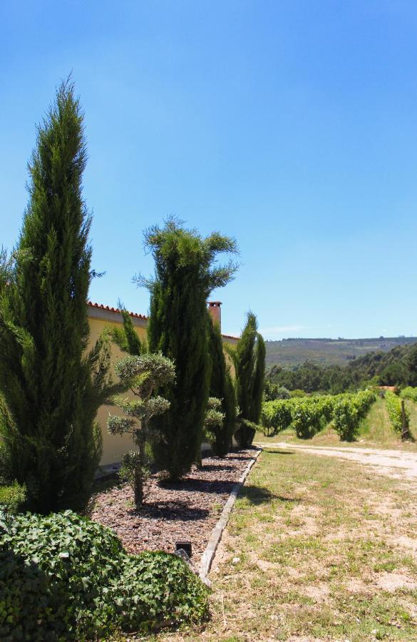 Quinta Das Regueiras Висеу Екстериор снимка